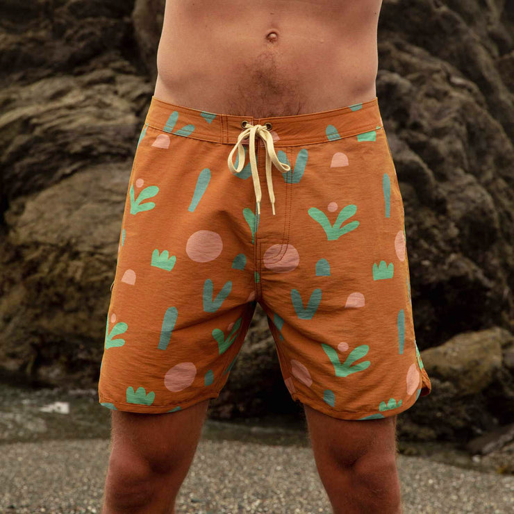 Mollusk swim trunks on sale